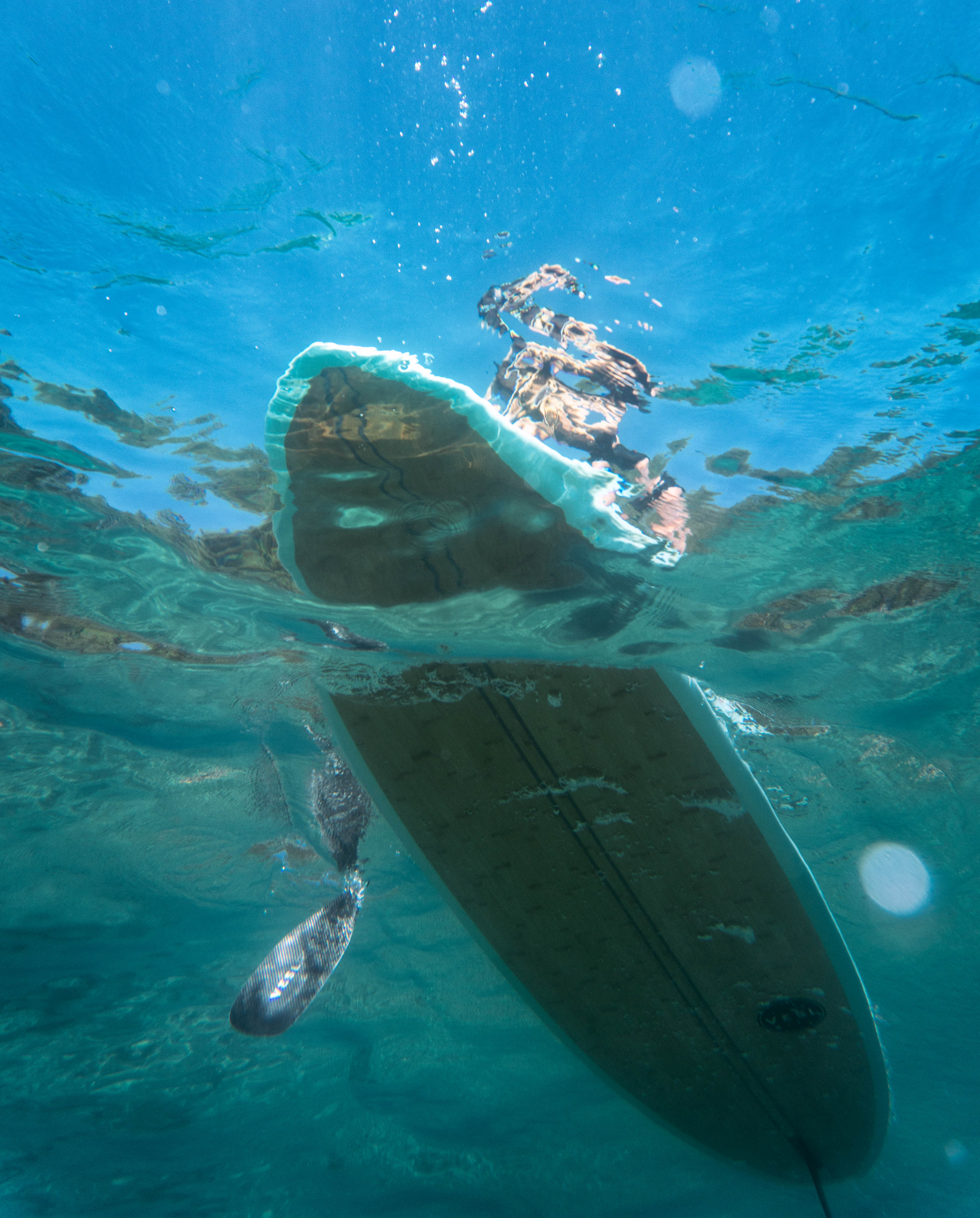 lightweight recreational adjustable paddles